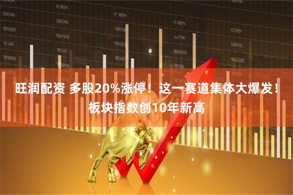 旺润配资 多股20%涨停！这一赛道集体大爆发！板块指数创10年新高