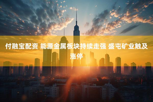 付融宝配资 能源金属板块持续走强 盛屯矿业触及涨停